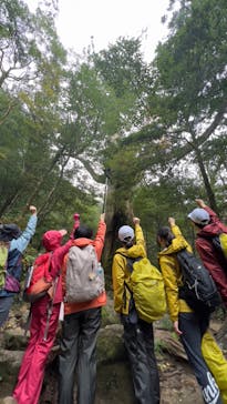 屋久島ガイド21EC-Kに投稿された画像（2022/10/18）