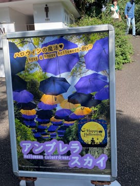 ニューヨークランプミュージアム＆フラワーガーデンに投稿された画像（2022/10/18）