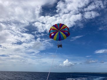 Sea World（シーワールド）に投稿された画像（2022/10/19）