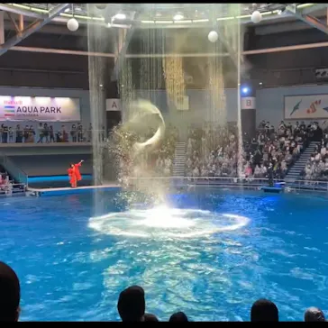 マクセル アクアパーク品川に投稿された画像（2022/10/19）