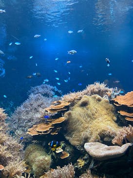 株式会社Gに投稿された画像（2022/10/19）