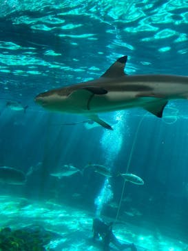 株式会社Gに投稿された画像（2022/10/19）