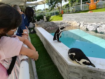 マリンワールド海の中道に投稿された画像（2022/10/19）