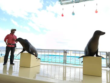 マリンワールド海の中道に投稿された画像（2022/10/19）