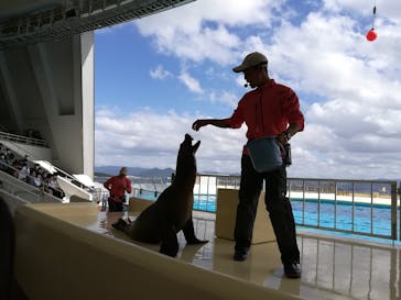 マリンワールド海の中道に投稿された画像（2022/10/19）