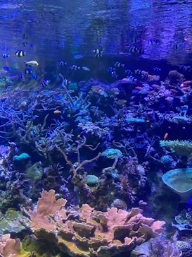 名古屋港水族館に投稿された画像（2022/10/19）