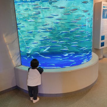 しながわ水族館に投稿された画像（2022/10/19）