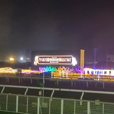 東京メガイルミに投稿された画像（2022/10/19）