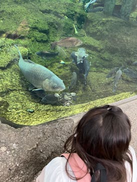 アクアワールド茨城県大洗水族館に投稿された画像（2022/10/19）
