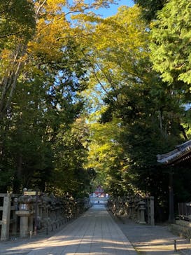 京阪電車に投稿された画像（2022/10/19）