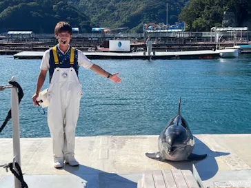 うみたま体験パーク 「つくみイルカ島」に投稿された画像（2022/10/19）