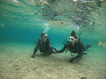 青の洞窟専門店　沖縄ダイビングショップ和に投稿された画像（2022/10/19）