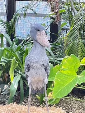 神戸どうぶつ王国に投稿された画像（2022/10/20）