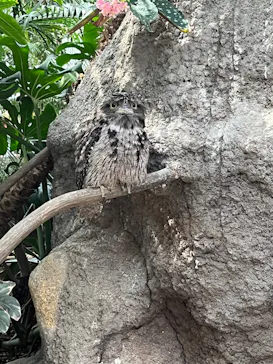 神戸どうぶつ王国に投稿された画像（2022/10/20）