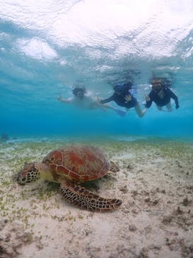 ちゃこたびに投稿された画像（2022/10/20）