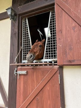 ノーザンホースパークに投稿された画像（2022/10/20）