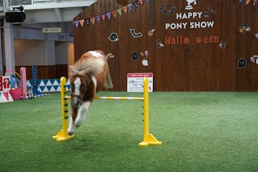 ノーザンホースパークに投稿された画像（2022/10/20）