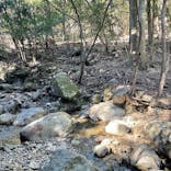 白瀧大明神奉賛会に投稿された画像（2022/10/20）