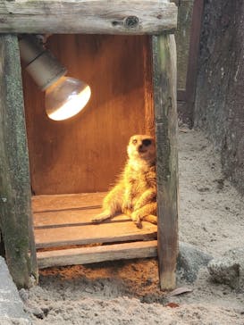 伊豆シャボテン動物公園に投稿された画像（2022/10/20）