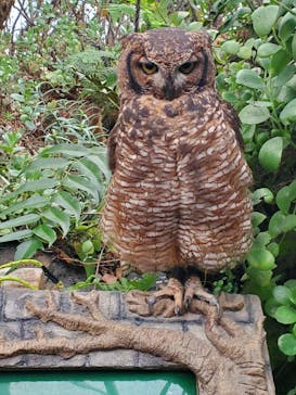 伊豆シャボテン動物公園に投稿された画像（2022/10/20）