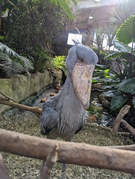 那須どうぶつ王国に投稿された画像（2022/10/20）