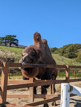 那須どうぶつ王国に投稿された画像（2022/10/20）