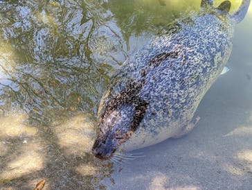 那須どうぶつ王国に投稿された画像（2022/10/20）