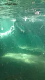 天王寺動物園に投稿された画像（2022/10/21）