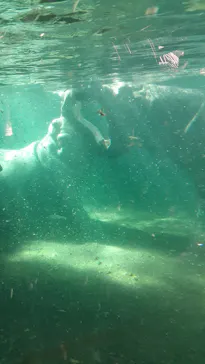 天王寺動物園に投稿された画像（2022/10/21）