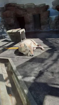 天王寺動物園に投稿された画像（2022/10/21）