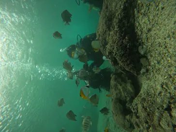 武藤潜水に投稿された画像（2022/10/21）