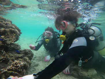武藤潜水に投稿された画像（2022/10/21）
