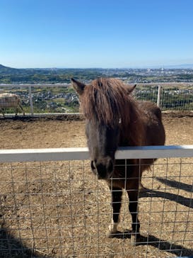 ワールド牧場に投稿された画像（2022/10/21）