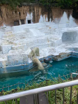 天王寺動物園に投稿された画像（2022/10/21）