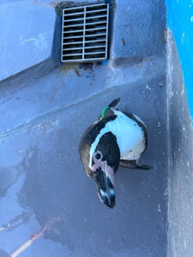 南知多ビーチランド＆南知多おもちゃ王国に投稿された画像（2022/10/21）