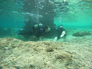 武藤潜水に投稿された画像（2022/10/21）