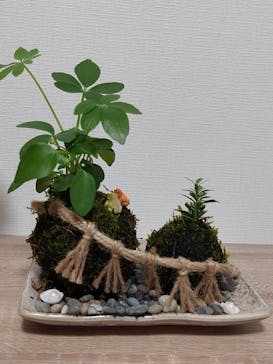 伊勢夫婦岩めおと横丁　めおと岩アクティビティに投稿された画像（2022/10/21）