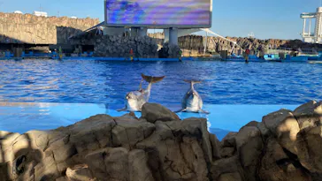 名古屋港水族館に投稿された画像（2022/10/21）