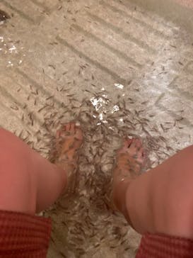 有馬温泉 太閤の湯に投稿された画像（2022/10/21）