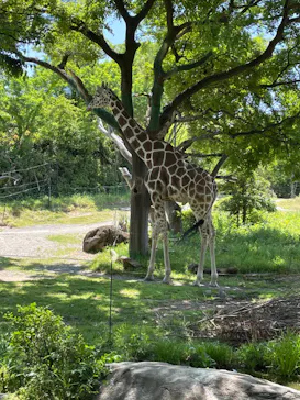 天王寺動物園に投稿された画像（2022/10/21）