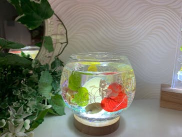 ずこうしつ〜sugamo〜に投稿された画像（2022/10/21）