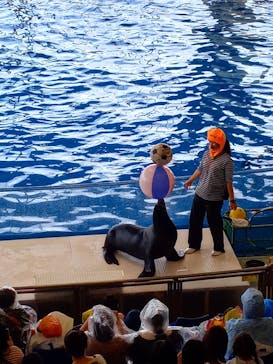 アクアワールド茨城県大洗水族館に投稿された画像（2022/10/21）