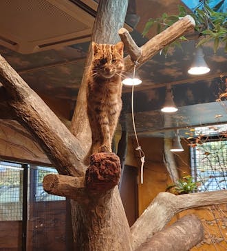 那須どうぶつ王国に投稿された画像（2022/10/21）