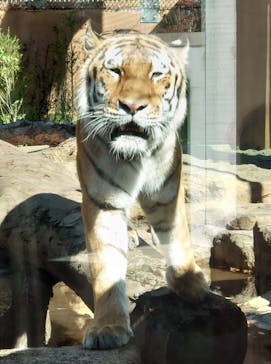 那須どうぶつ王国に投稿された画像（2022/10/21）