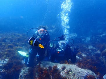 オレンジフィッシュに投稿された画像（2022/10/21）