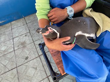 南知多ビーチランド＆南知多おもちゃ王国に投稿された画像（2022/10/21）