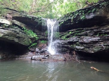 西表島 ADVENTURE PiPi（アドベンチャーピピ）に投稿された画像（2022/10/21）