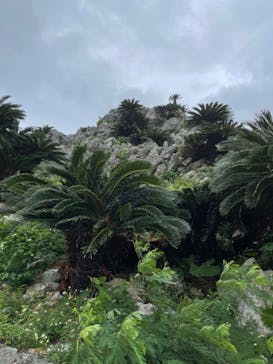 ジャンボツアーズに投稿された画像（2022/10/21）