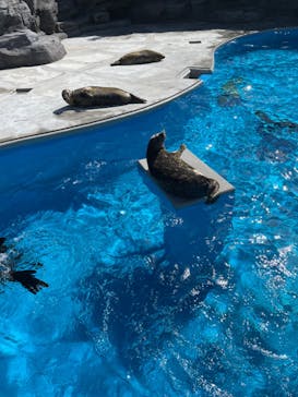 鴨川シーワールドに投稿された画像（2022/10/21）