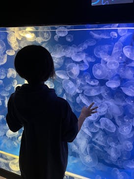 鴨川シーワールドに投稿された画像（2022/10/21）